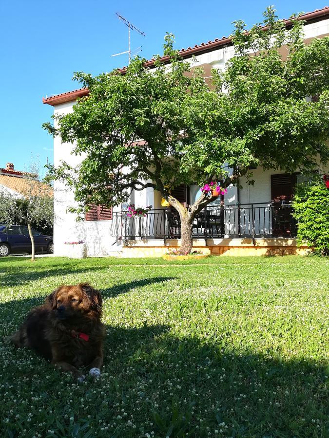 Villa Nina Poreč Exteriör bild
